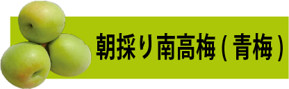 朝採り南高梅