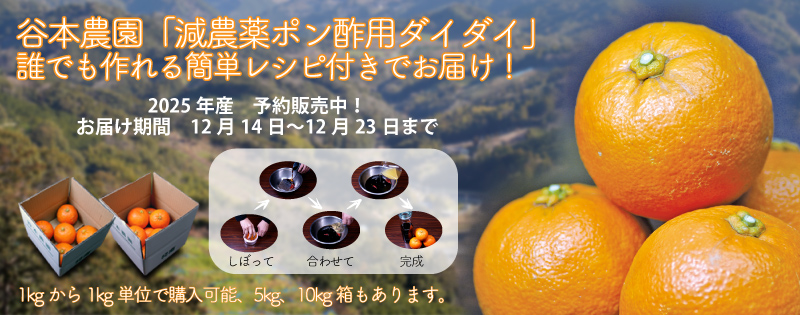 減農薬ポン酢用ダイダイ