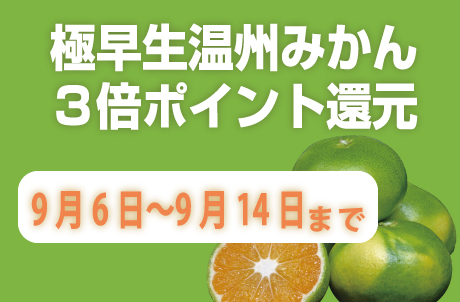 極早生温州みかん3倍ポイント還元キャンペーン