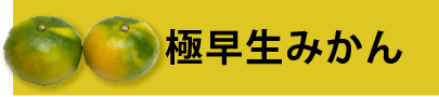 減農薬極早生みかん