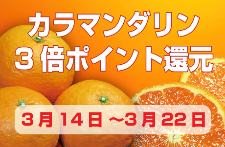 ３倍ポイント還元キャンペーン