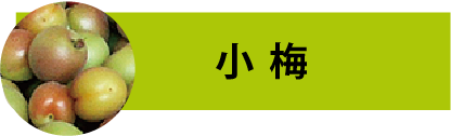 小梅