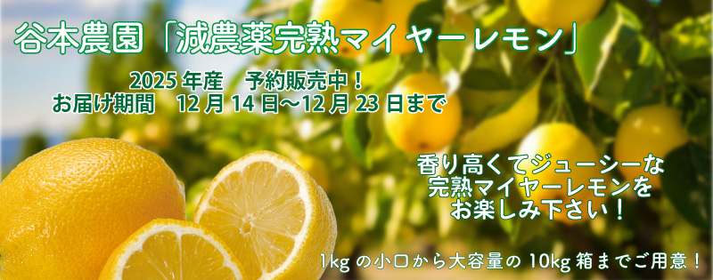 減農薬完熟マイヤーレモン