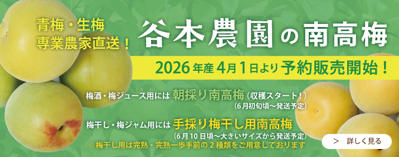 谷本農園の南高梅