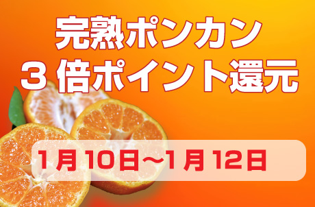 ３倍ポイント還元キャンペーン