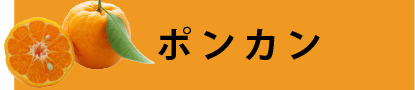 完熟ポンカン