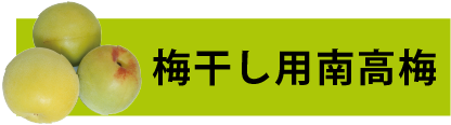 手採り梅干し用南高梅