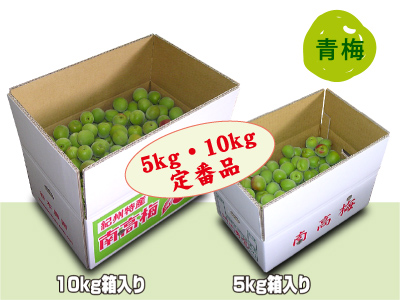 朝採り南高梅（5kg・10kg）
