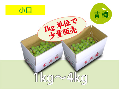 朝採り南高梅（小口販売）
