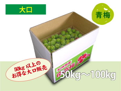 朝採り南高梅（大口販売）