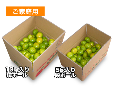 極早生熟温州みかん（ご家庭用） | 鮮度抜群の採れたて南高梅