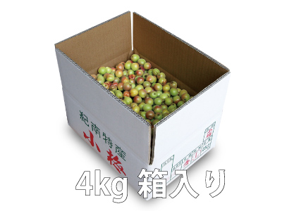 朝採り紅小梅Lサイズ