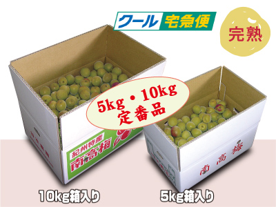 手採り梅干し用南高梅（5kg・10kg）