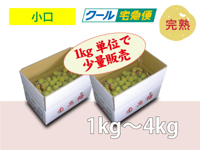 手採り梅干し用南高梅（小口販売）