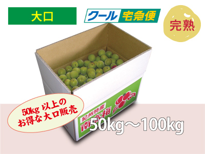 手採り梅干し用南高梅（大口販売）