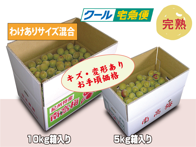 手採り梅干し用南高梅【わけあり】サイズ混合