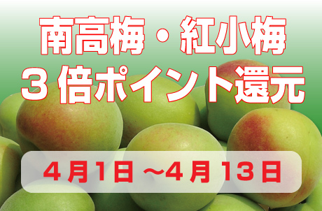 南高梅・紅小梅3倍ポイント還元キャンペーン