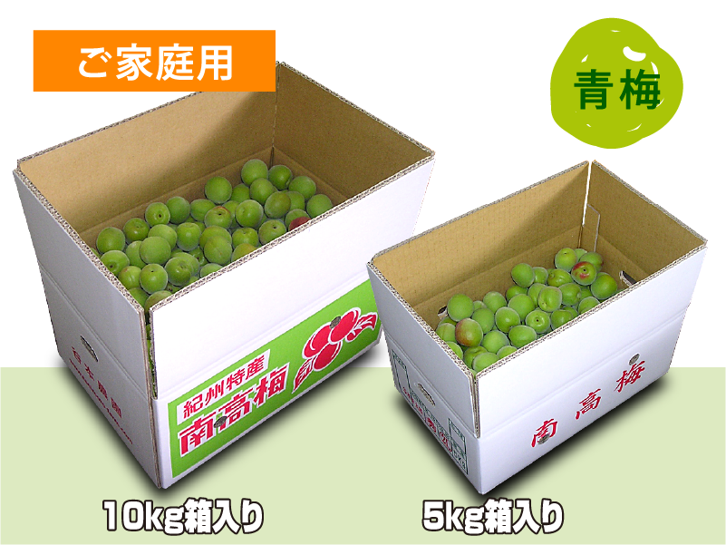 送料無料 6月9、11、12日収穫発送予定 紀州南高梅 青梅 10kg L～3L大小混合 和歌山県みなべ町産　梅酒 梅ジュース 先行予約ふわっと香る紀州南高梅 青梅5kg \u203b2026年5月下旬～7月上旬に
