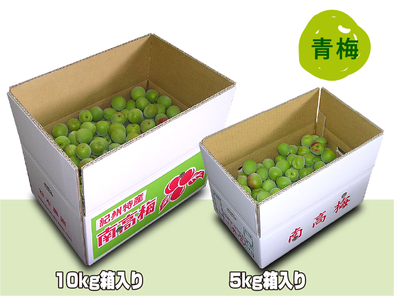 朝採り南高梅 | 鮮度抜群の採れたて南高梅、みかん、レモンを生産農家  