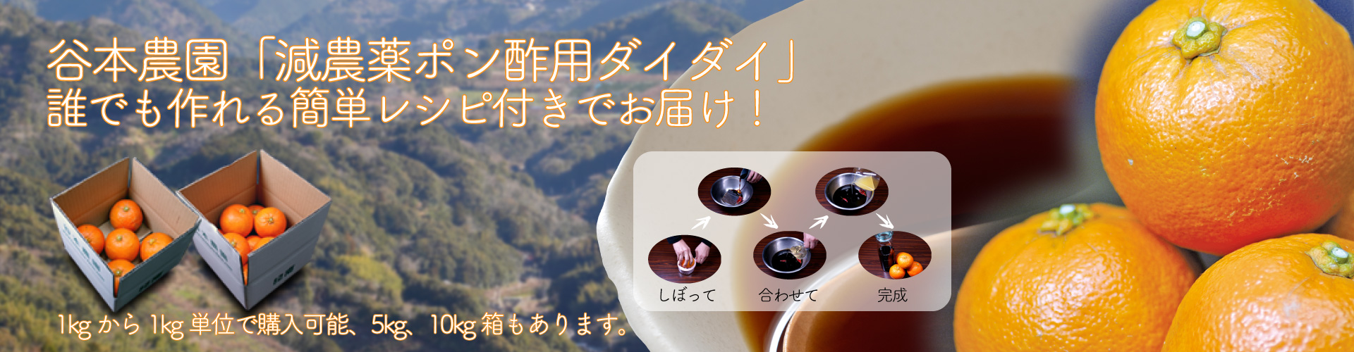top_daidai_roll_PC 減農薬ポン酢用ダイダイ