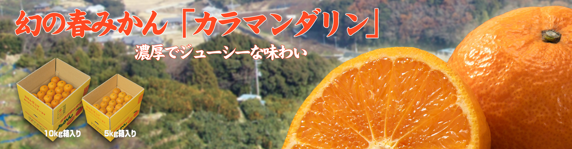 カラマンダリン