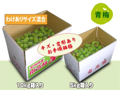 朝採り南高梅（わけあり）サイズ混合